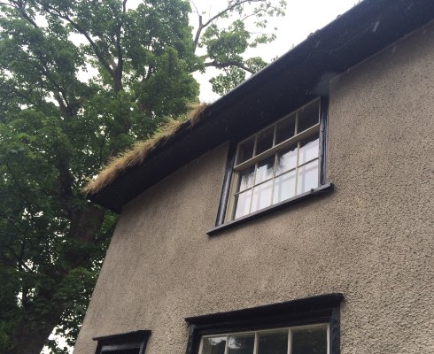 Gutter cleaning North Norfolk - house with weeds