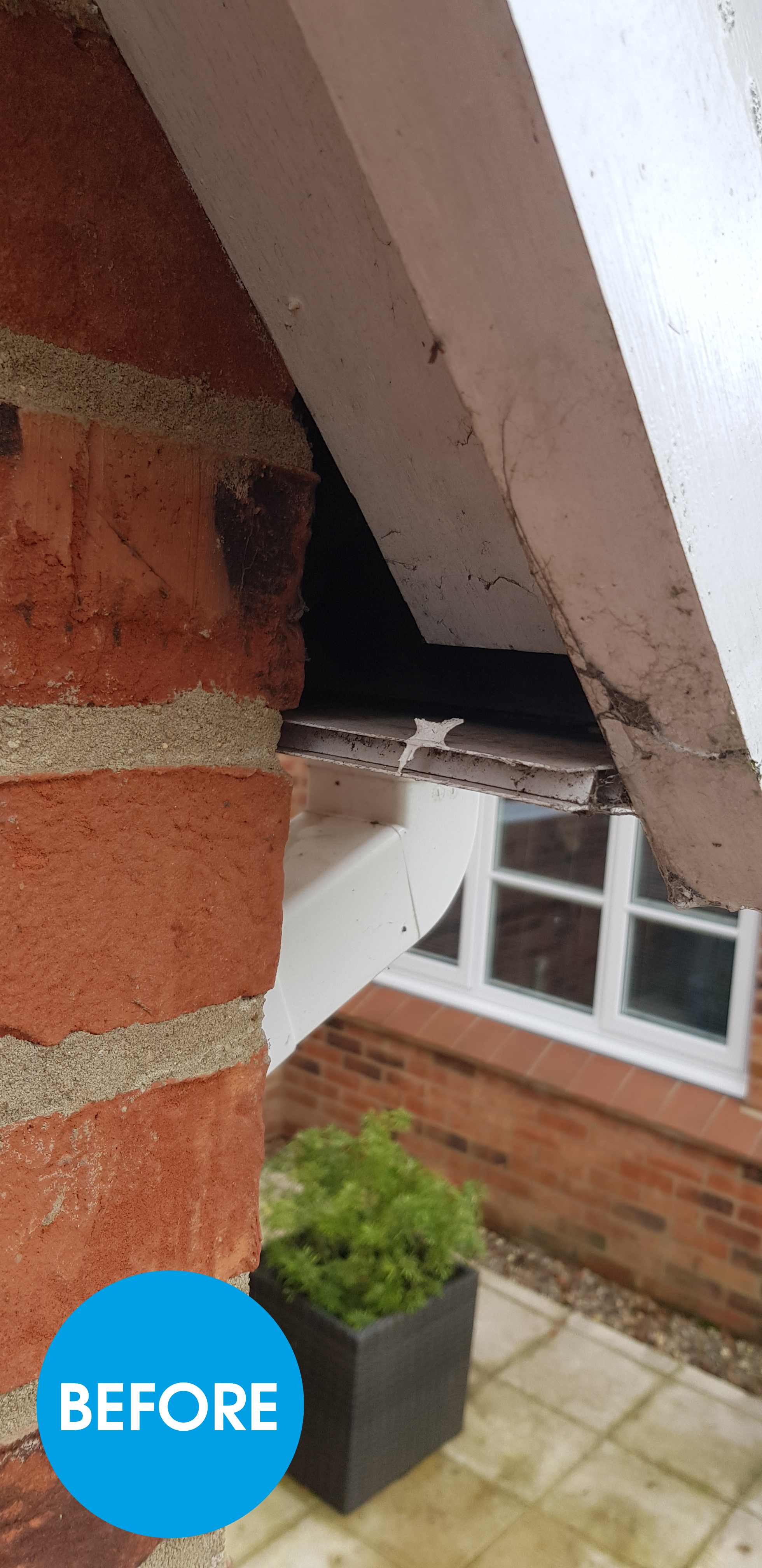 GUTTER REPAIR NORWICH