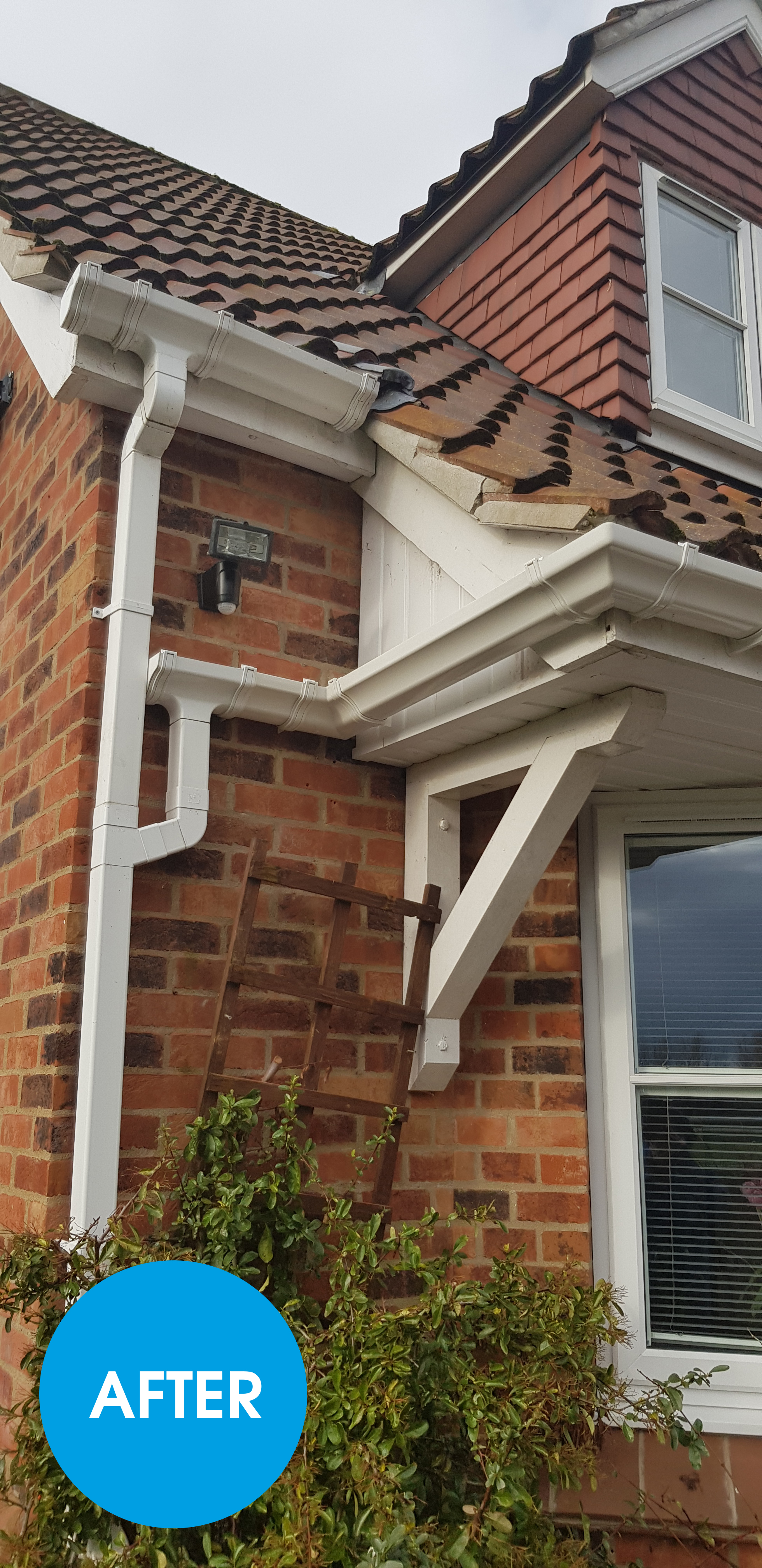 GUTTER REPAIR WROXHAM