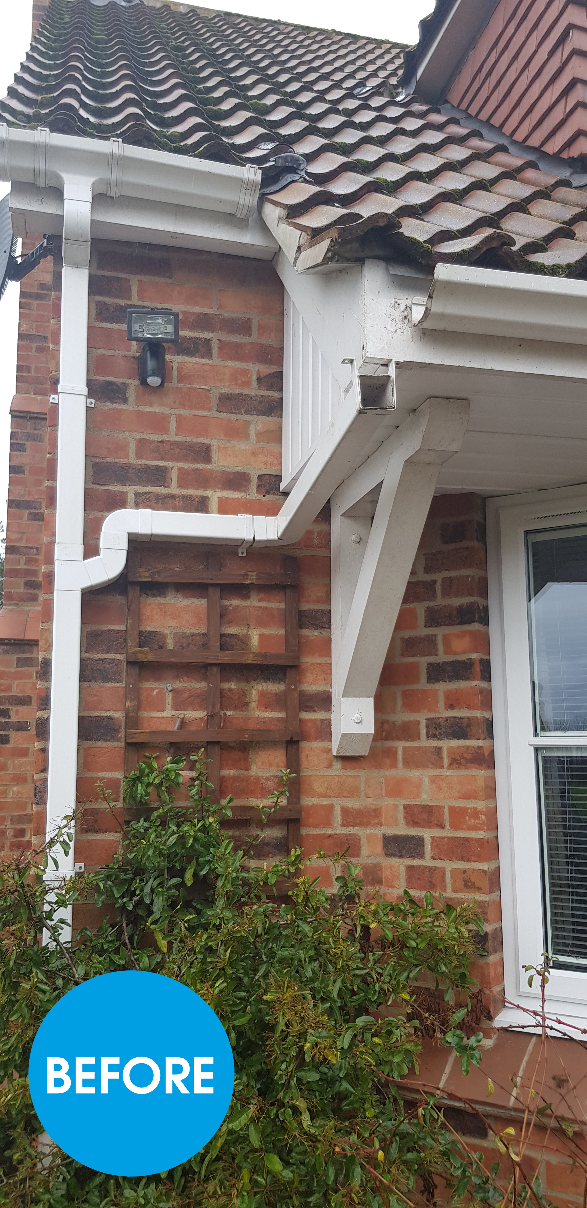 GUTTER REPAIR WROXHAM