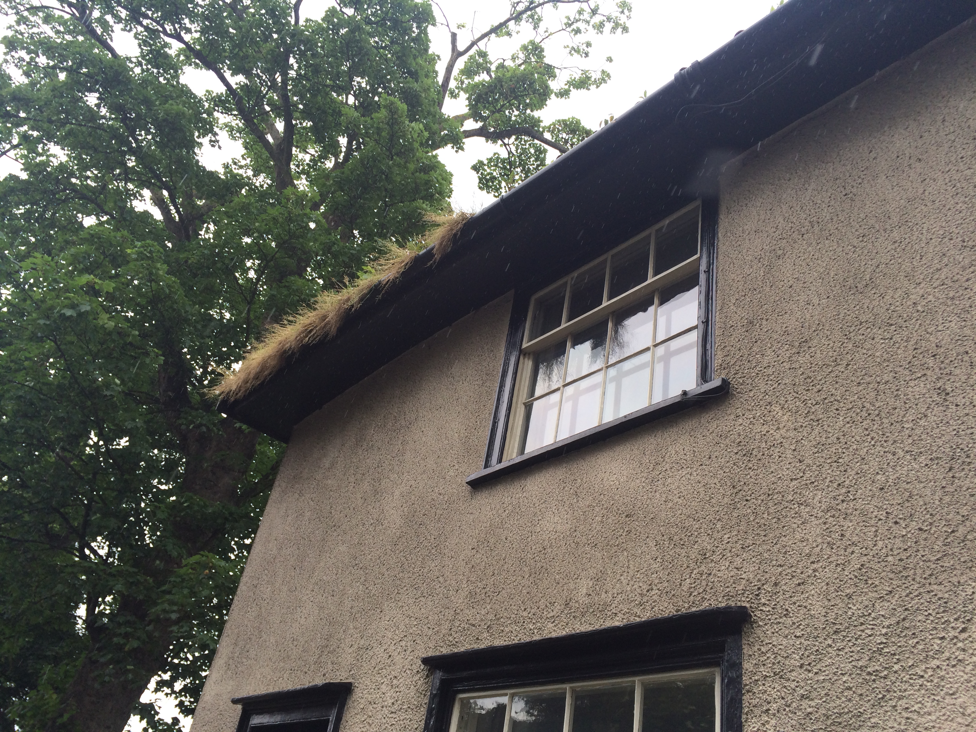 Gutter cleaning North Norfolk - house with weeds